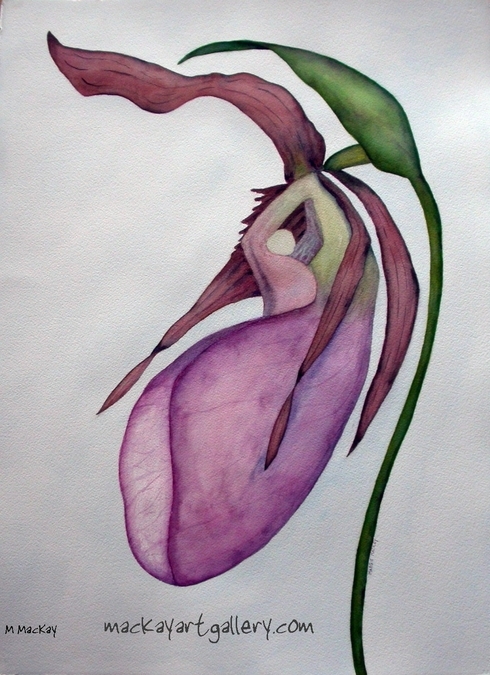 Lady Slipper