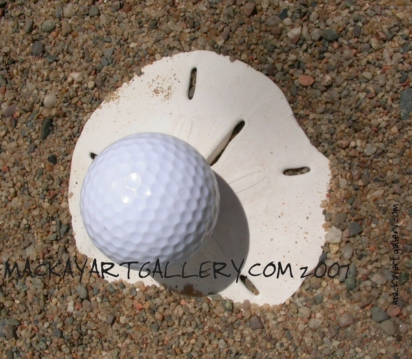 sand dollar trap