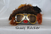 Shady Rocker