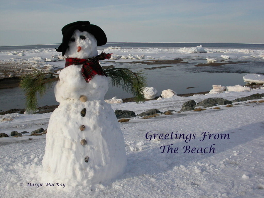 The Winter Beach Bum