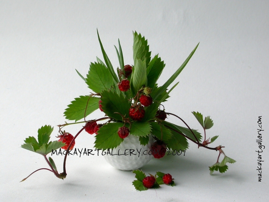 wild strawberries